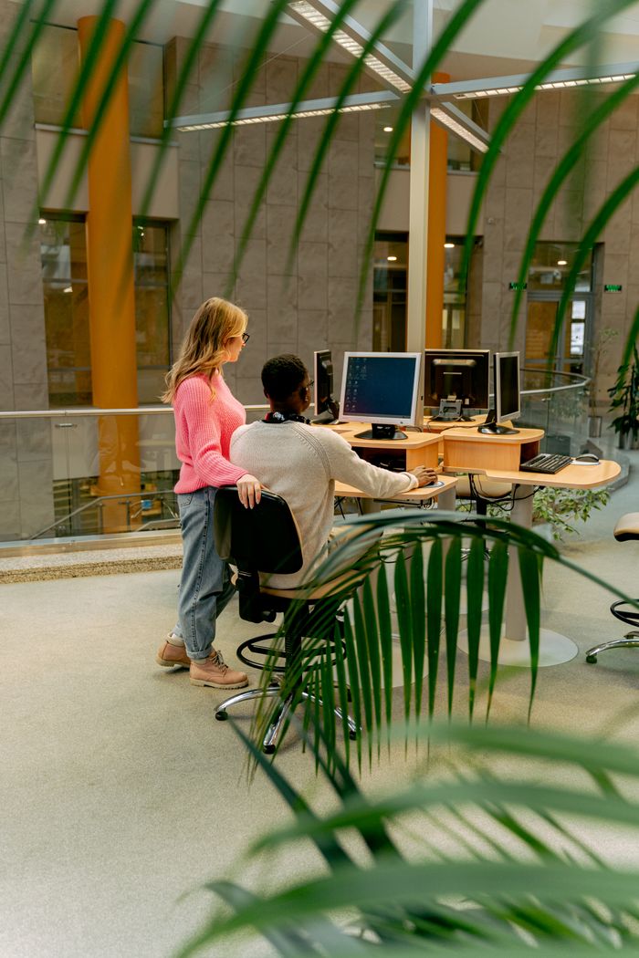 services-02 Two colleagues working together in a bright and modern indoor office setting.